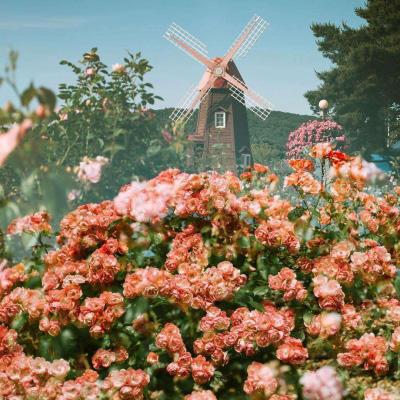 米乐app下载并安装