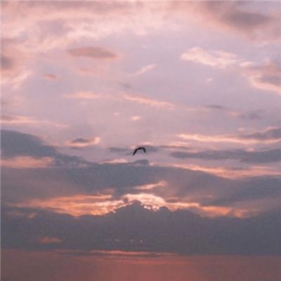 b体育官方入口在线登录网站