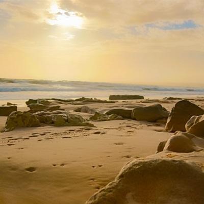 AG百家家乐app下载手机版截图