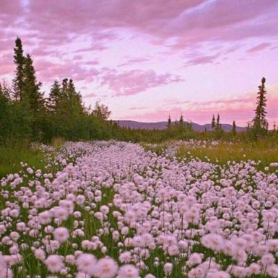 十一选五软件下载安装-登录入口