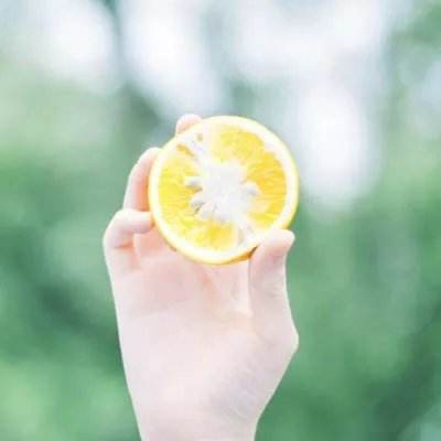 开云电竞手机app下载截图